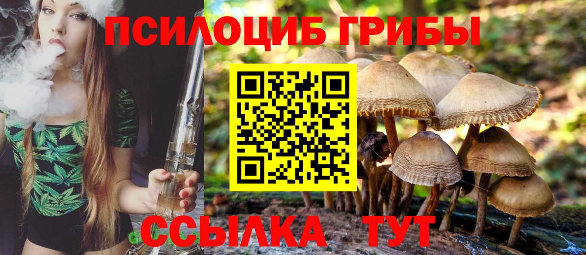 Псилоцибиновые грибы Psilocybine cubensis  Вход с VPN  Каменка 